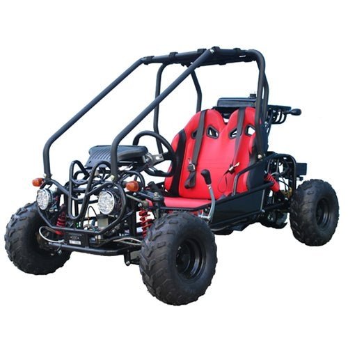 535-1-1.jpg Taotao GK110 Kids Gas Go Kart Dune Buggy - Image 1
