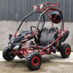 DongFang 125cc Kids Go Kart Type-GTS - Image 3