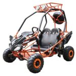 DongFang 125cc Kids Go Kart Type-GTS - Image 2