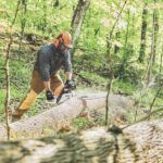 Stihl Gas-Powered Chainsaw, 20in. Bar, 64.1cc, 3/8in. Chain Pitch, Model# MS 391 - Image 5