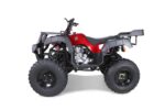 Taotao 250 Rhino Adult Utility ATV - Image 2