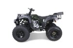 Taotao 250 Rhino Adult Utility ATV - Image 3