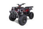 Taotao 250 Rhino Adult Utility ATV - Image 4