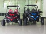 TrailMaster Cheetah 8 Go-Kart - Image 7