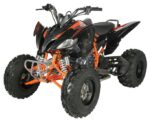 Regency PRO Ultra Sport 250cc ATV - Image 2