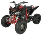 Regency PRO Ultra Sport 250cc ATV - Image 4
