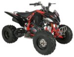Regency PRO Ultra Sport 250cc ATV - Image 7