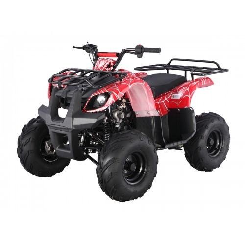 832-1.jpg Tao Motor D125 Kids ATVs - Image 1