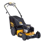 DEWALT 21″ 163cc Self-Propelled Lawn Mower - Image 2