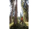 STIHL MS 462 C-M 28 72.2cc 28″ 13 Lbs Fuel-Efficient Gas-Powered M-Tronic C-M Chainsaw w/Bar & Chain - Image 7