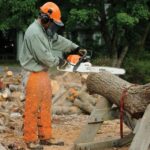 STIHL STIHL® MS 362 Professional Chainsaw - Image 3